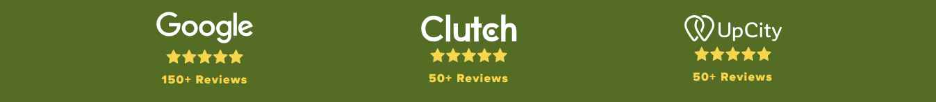amit.quest reviews